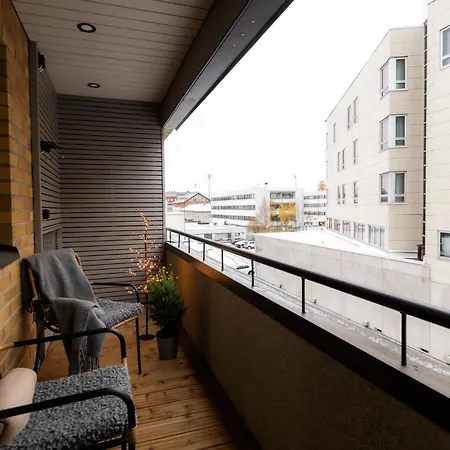 Arctic Winter 罗瓦涅米