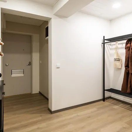 Arctic Winter 罗瓦涅米